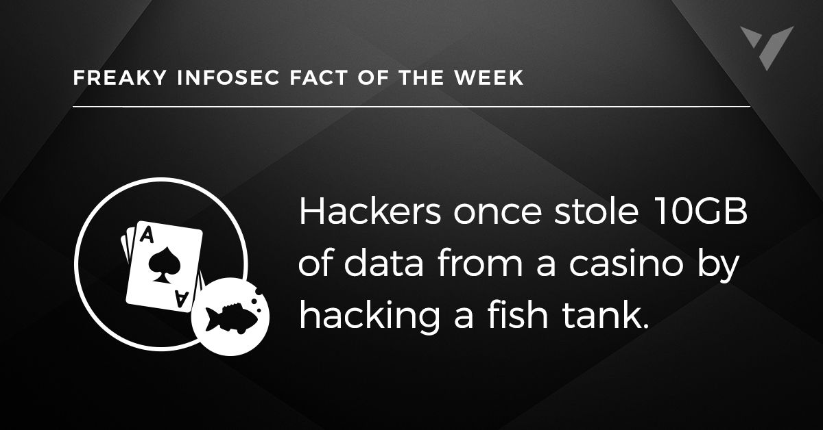 13 Freaky Infosec Facts