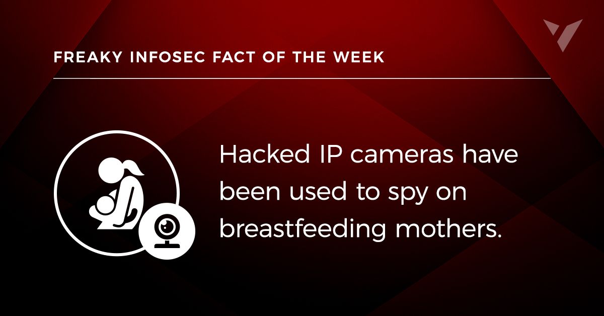 13 Freaky Infosec Facts